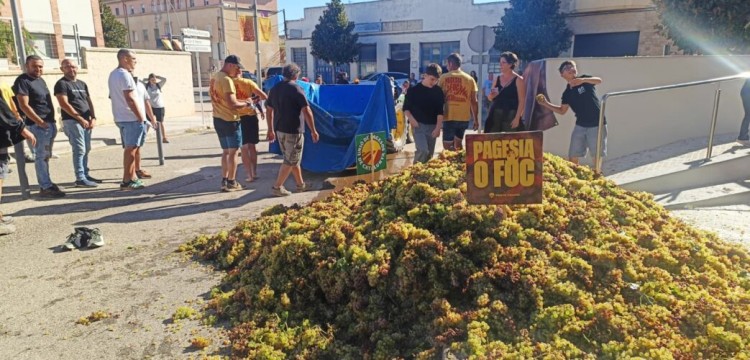 Unió de Pagesos reclama que el preu del raïm no sigui inferior als costos de producció