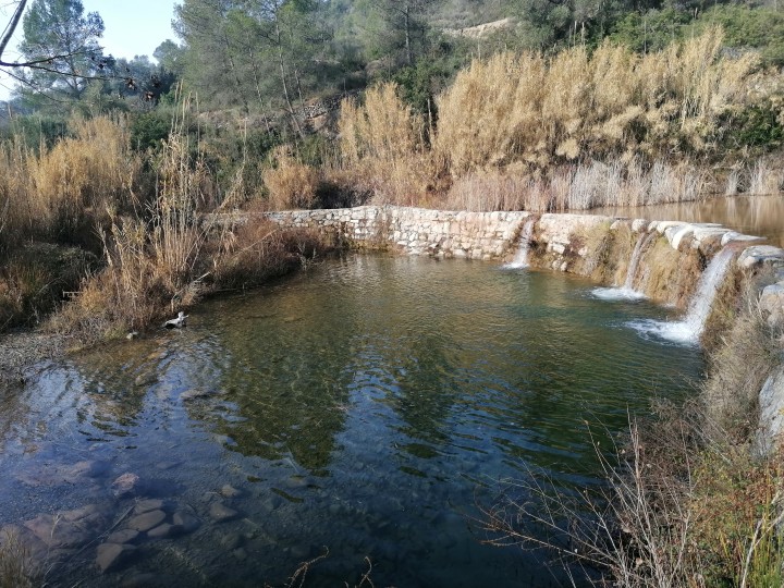L'ACA vol recuperar la connectivitat fluvial i millorar els hàbitats al tram del Siurana entre el Molar i el Masroig